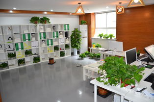 西安工程大学创意设计中心 打造城市文化新地标，深耕策划创意服务